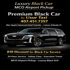 Cross country transportation Mount Dora FL long‑distance private driver, state‑to‑state taxi service, professional insured chauffeur for nationwide travel